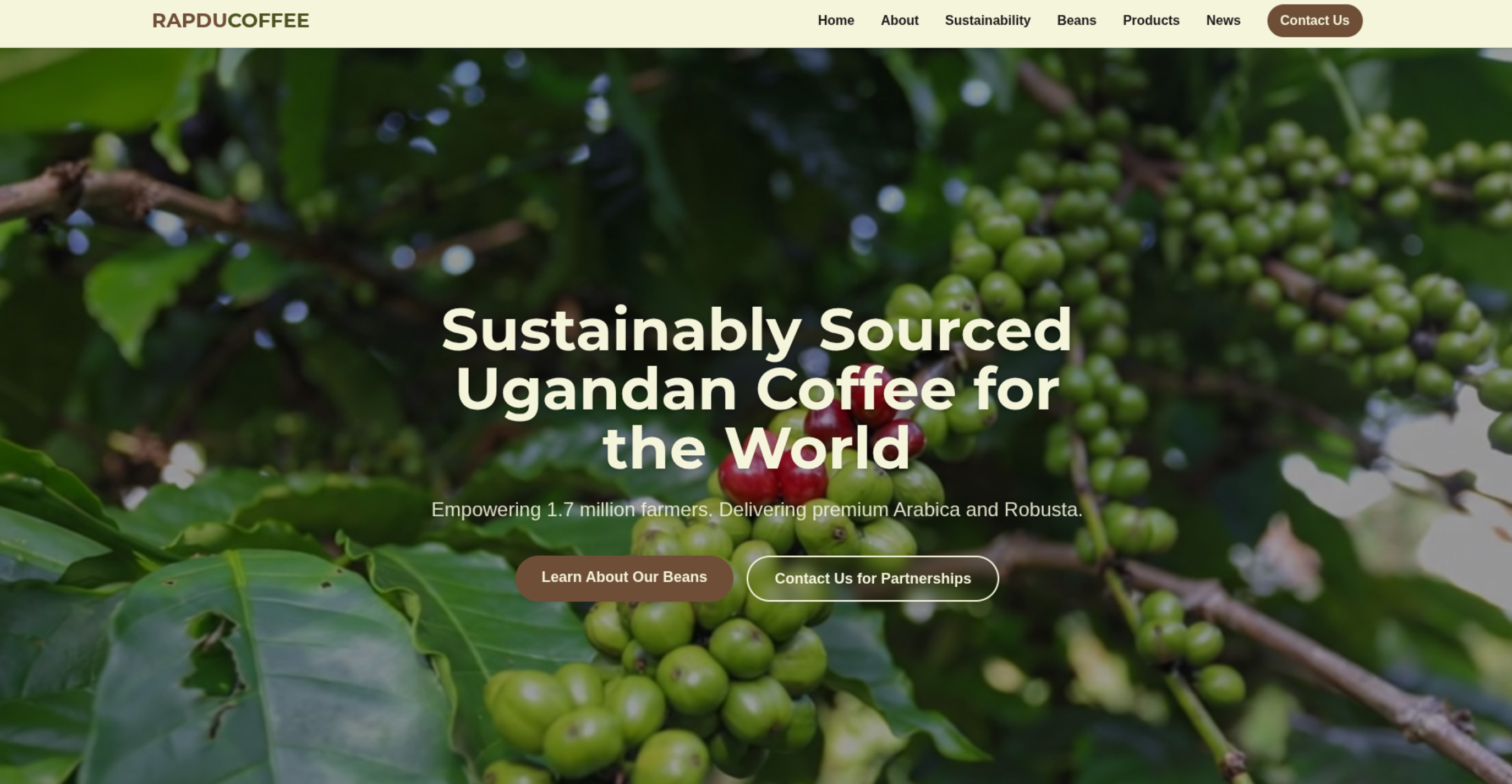 Rapdu Coffee